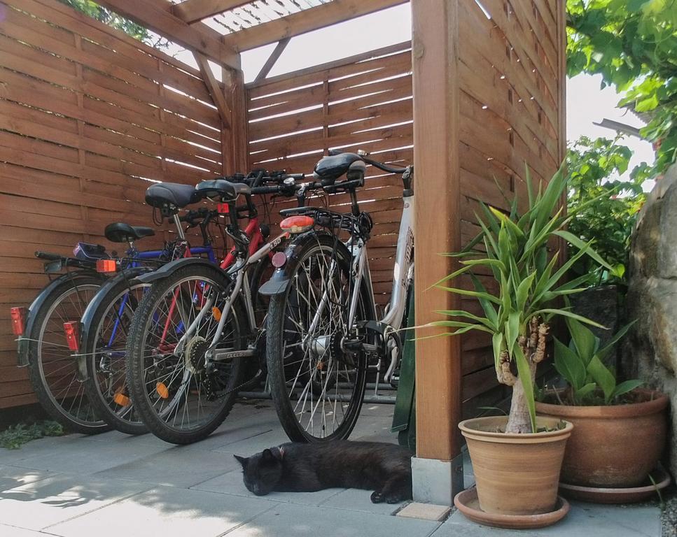 Ferienwohnung Am Elberadweg Dresde Exterior foto